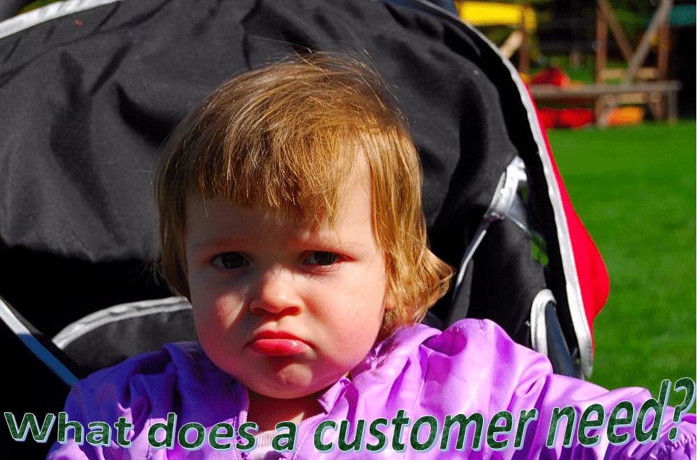 Customer Needs